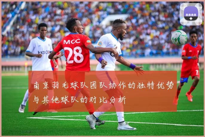 南京羽毛球队团队协作的独特优势与其他球队的对比分析