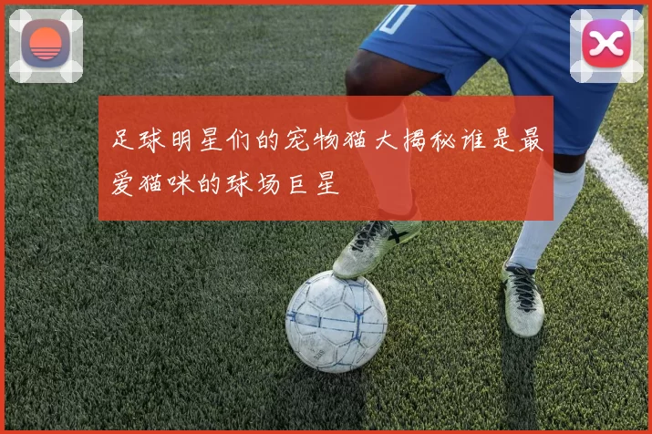 足球明星们的宠物猫大揭秘谁是最爱猫咪的球场巨星