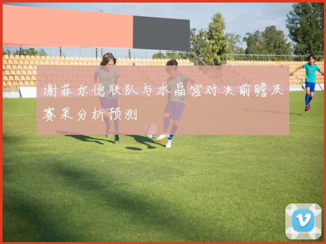 谢菲尔德联队与水晶宫对决前瞻及赛果分析预测