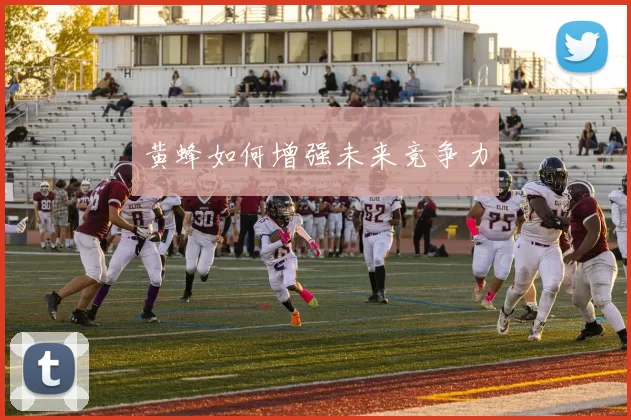 黄蜂如何增强未来竞争力