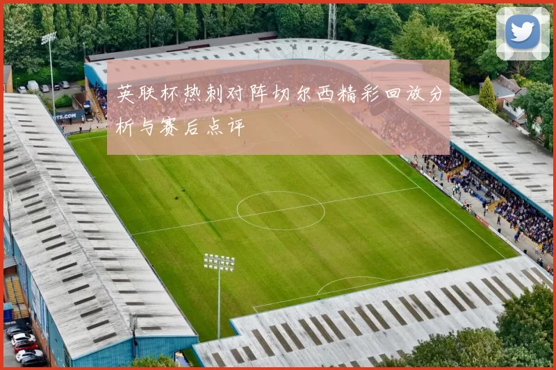 英联杯热刺对阵切尔西精彩回放分析与赛后点评