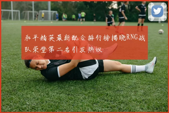 和平精英最新配合排行榜揭晓RNG战队荣登第二名引发热议