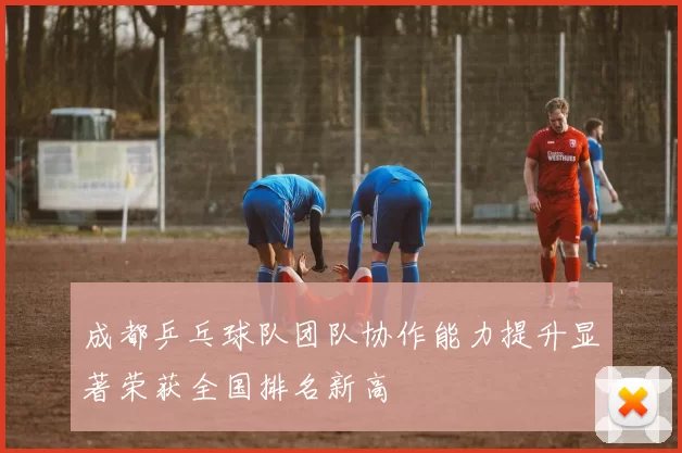 成都乒乓球队团队协作能力提升显著荣获全国排名新高