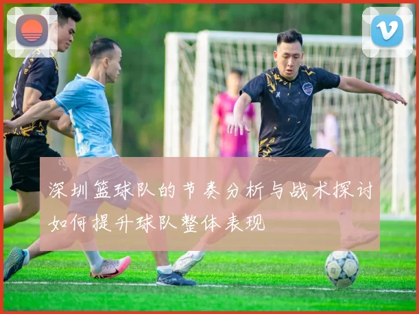 深圳篮球队的节奏分析与战术探讨如何提升球队整体表现