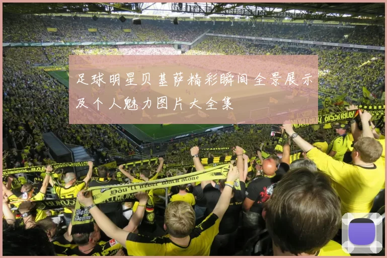 足球明星贝基萨精彩瞬间全景展示及个人魅力图片大全集