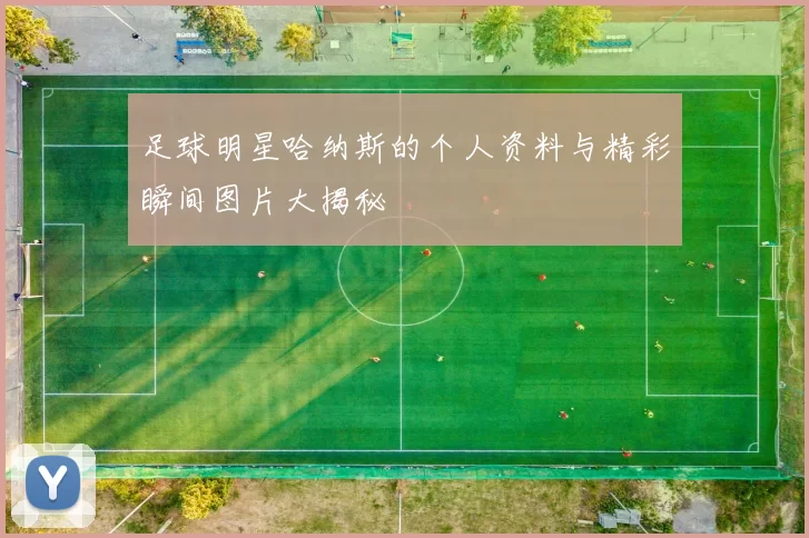 足球明星哈纳斯的个人资料与精彩瞬间图片大揭秘