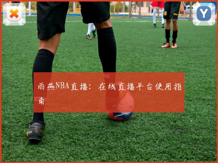 雨燕NBA直播：在线直播平台使用指南
