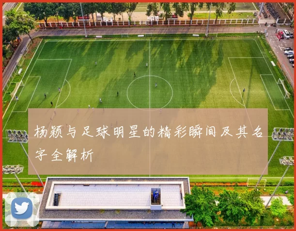 杨颖与足球明星的精彩瞬间及其名字全解析