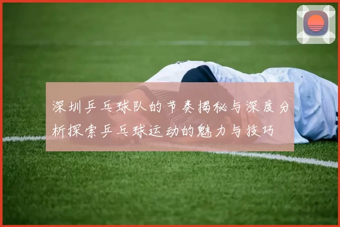 深圳乒乓球队的节奏揭秘与深度分析探索乒乓球运动的魅力与技巧