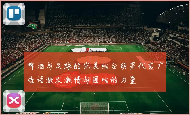 啤酒与足球的完美结合明星代言广告语激发激情与团结的力量