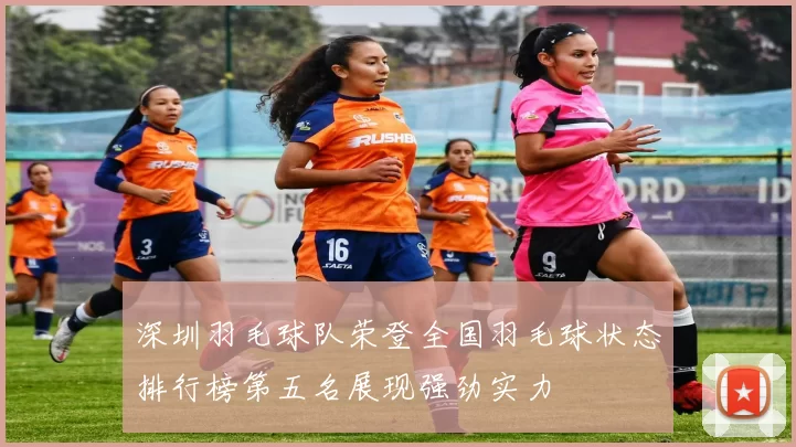 深圳羽毛球队荣登全国羽毛球状态排行榜第五名展现强劲实力