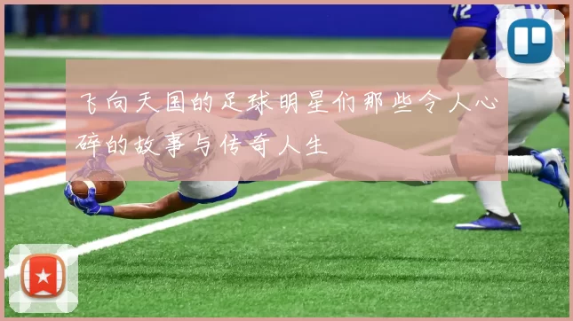 飞向天国的足球明星们那些令人心碎的故事与传奇人生
