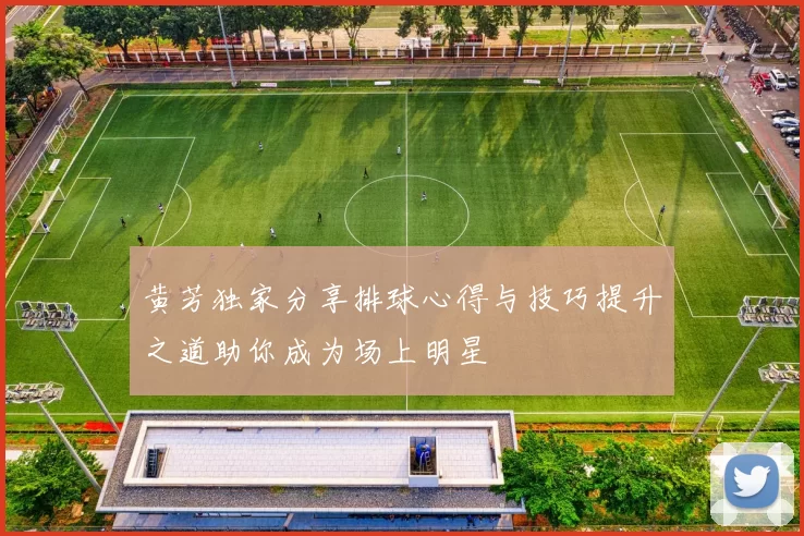 黄芳独家分享排球心得与技巧提升之道助你成为场上明星