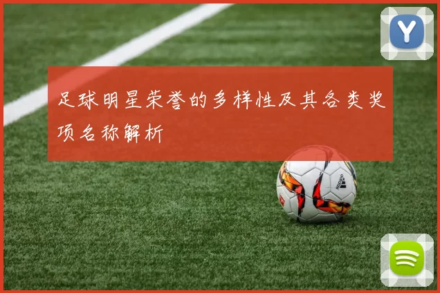 足球明星荣誉的多样性及其各类奖项名称解析