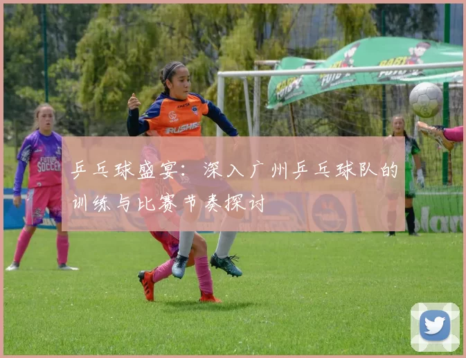 乒乓球盛宴：深入广州乒乓球队的训练与比赛节奏探讨