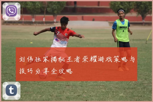 刘伟独家揭秘王者荣耀游戏策略与技巧分享全攻略